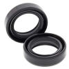 Simmerringsatz Gabel 55-101