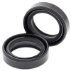 Simmerringsatz Gabel 55-102