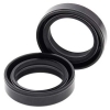 Simmerringsatz Gabel 55-106