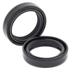 Simmerringsatz Gabel 55-113