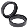Simmerringsatz Gabel 55-116