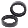 Simmerringsatz Gabel 55-141
