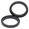 Simmerringsatz Gabel 55-146
