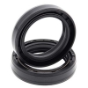 Simmerringsatz Gabel 55-151