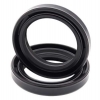 Simmerringsatz Gabel 55-153