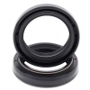Simmerringsatz Gabel 55-154