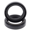 Simmerringsatz Gabel 55-161