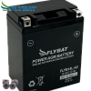 Batterie FlyBat FLYB14L-A2 / YB14L-A2 AGM geschlossen