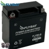 Batterie FlyBat FLYB9-B / YB9-B AGM geschlossen
