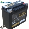 Batterie FlyBat FLYHVT01 / HVT01 AGM geschlossen