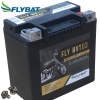 Batterie FlyBat FLYHVT03 / HVT03 AGM geschlossen