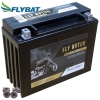 Batterie FlyBat FLYHVT06 / HVT06 AGM geschlossen