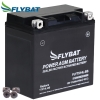 Batterie FlyBat FLYTX14L-BS / YTX14L-BS AGM geschlossen