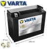 Batterie VARTA TX24HL (FA) / YTX24HL-BS Powersports AGM Active